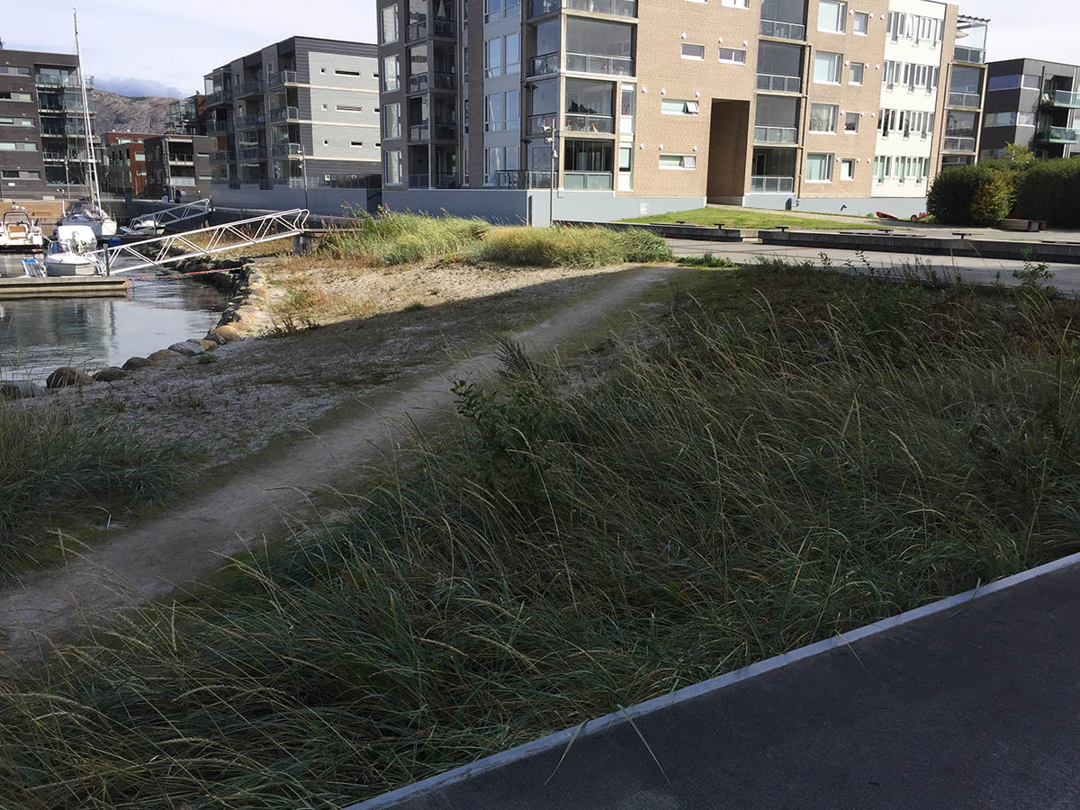 Oppgradering av «stranden» ved båthavnen. Hinna Park velforening ble stiftet mai 2018 av Harald Krohn-Pettersen og Gunnar Nygård bilde