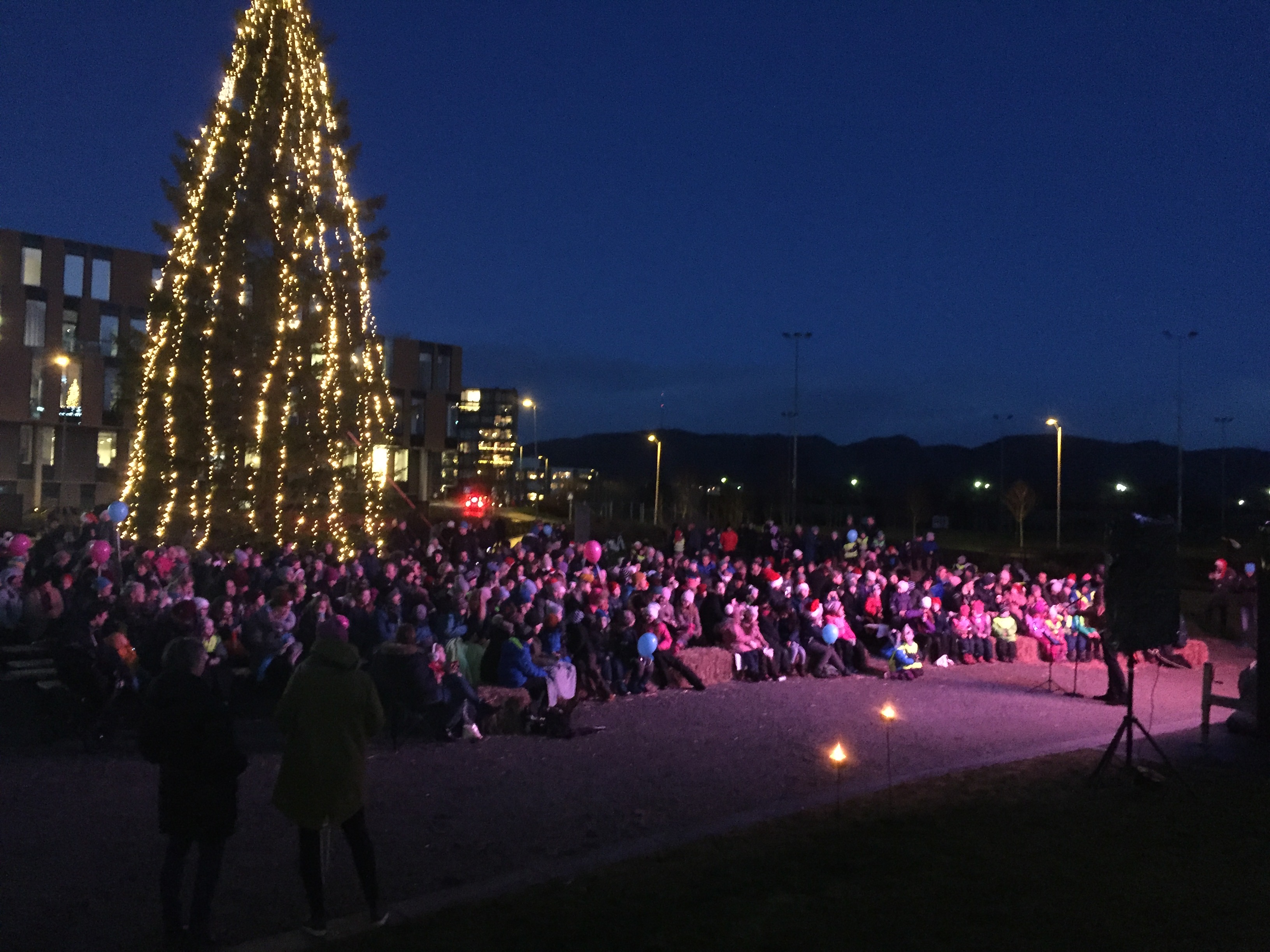 Julegrantenning 2018 Hinna Park velforening ble stiftet mai 2018 av Harald Krohn-Pettersen og Gunnar Nygård bilde